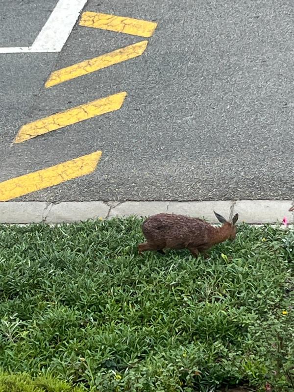 4 Bedroom Property for Sale in Pinnacle Point Golf Estate Western Cape